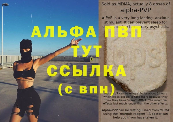 спайс Беломорск